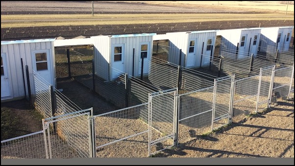Dog Kennels Spirit River Alberta