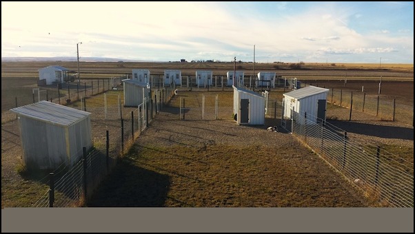Dog Kennels Rycroft Alberta