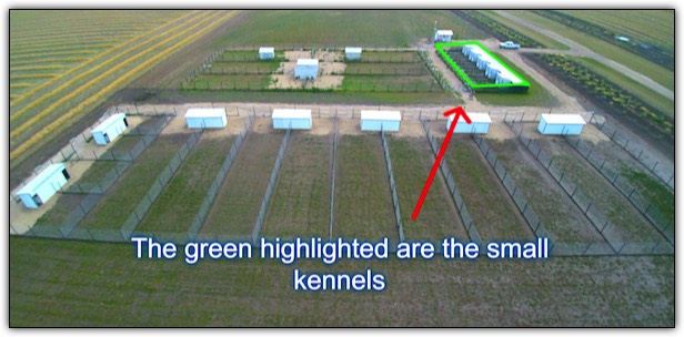 Air view of Bear Lake Kountry Kennels