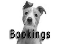 Bookings at Bear Lake Kountry Kennels