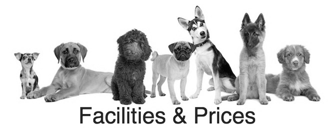 Bear Lake Kountry Kennel Facilities and Prices