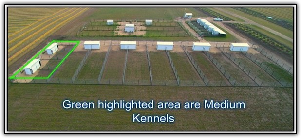 Medium Kennel Sizes at Bear Lake Kountry Kennels