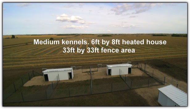 Medium Kennels at Bear Lake Kountry Kennels