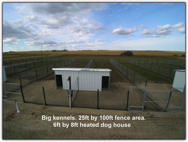 Large Kennel sizes at Bear Lake Kountry Kennels