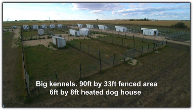 Big Kennel sizes at Bear Lake Kountry Kennelss